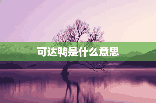 可达鸭是什么意思(可达鸭是什么意思?)